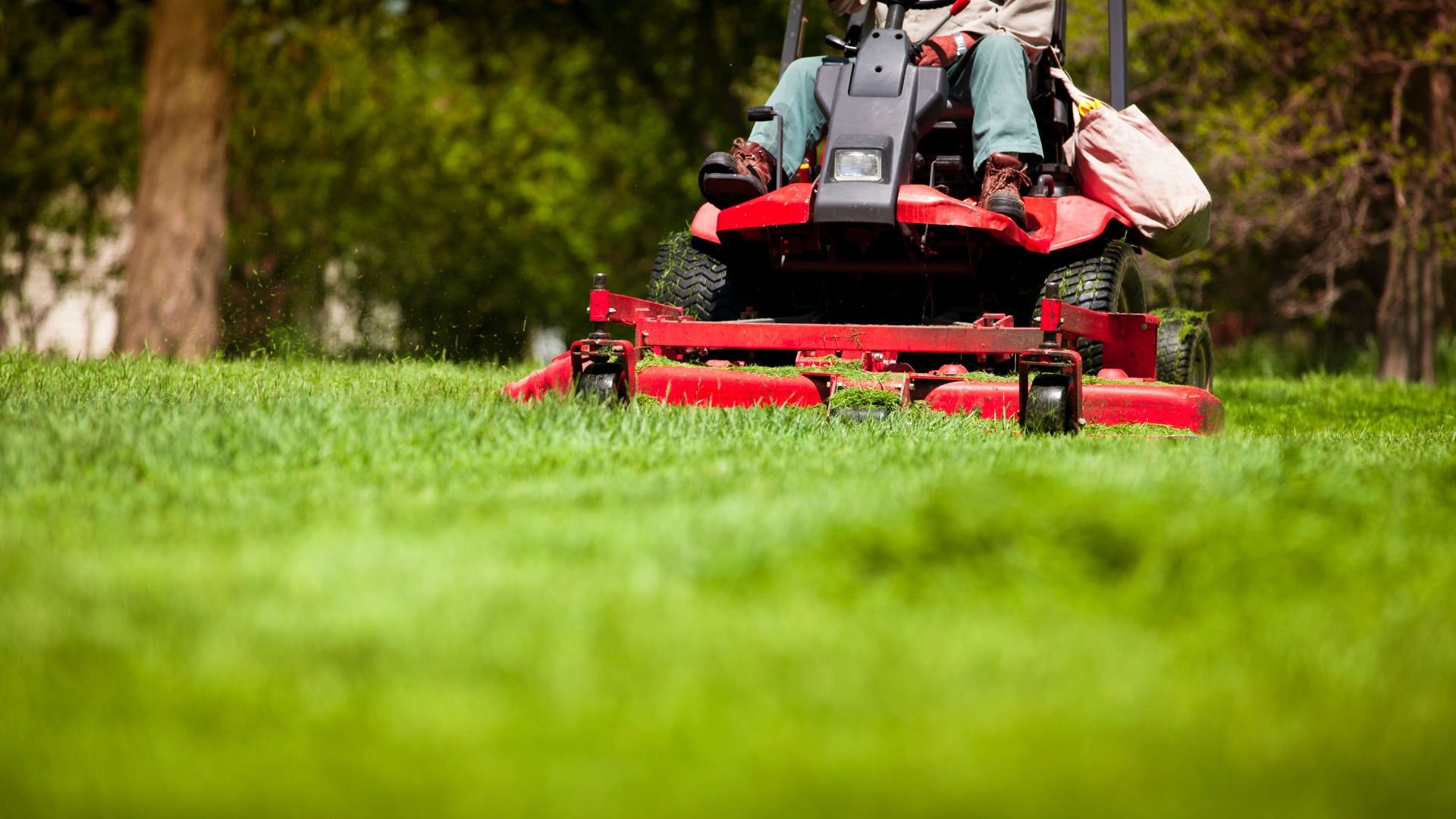 Red riding lawn mower cutting green grass in a sunny backyard