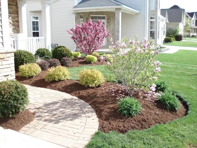 Manicured front yard with pink flowering trees and curved stone walkway